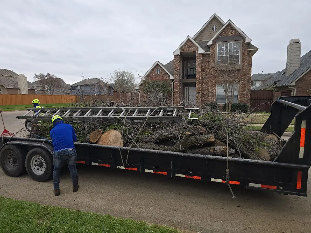 Expert Crown Reduction with proper safety equipment in Kilgore